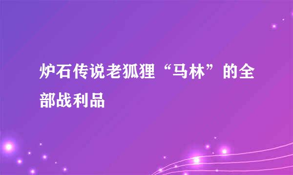 炉石传说老狐狸“马林”的全部战利品