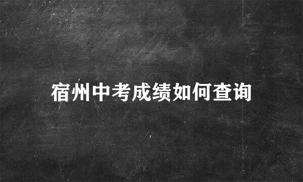 宿州中考成绩如何查询