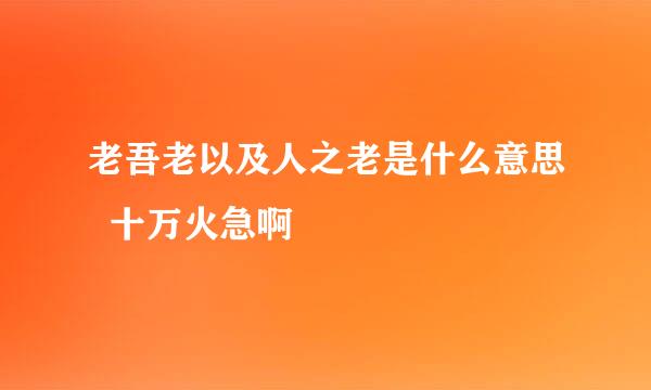 老吾老以及人之老是什么意思  十万火急啊