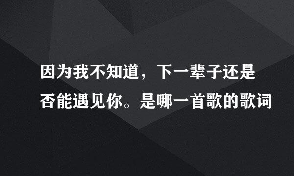 因为我不知道，下一辈子还是否能遇见你。是哪一首歌的歌词