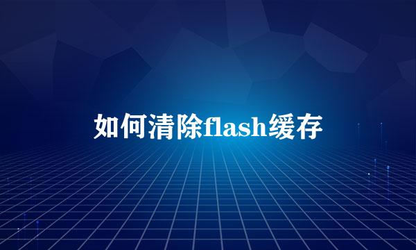 如何清除flash缓存