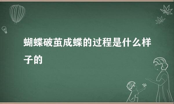 蝴蝶破茧成蝶的过程是什么样子的