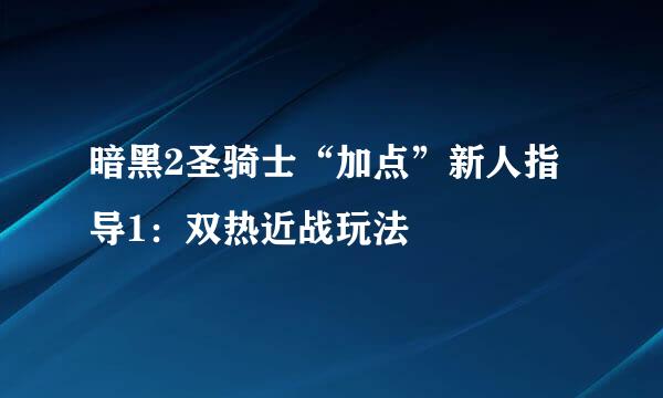 暗黑2圣骑士“加点”新人指导1：双热近战玩法