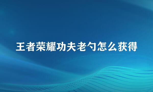 王者荣耀功夫老勺怎么获得