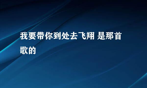 我要带你到处去飞翔 是那首歌的