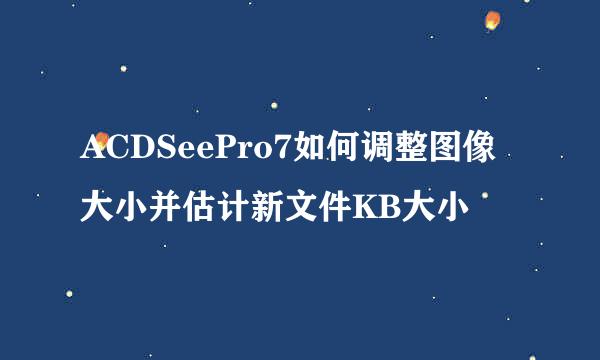 ACDSeePro7如何调整图像大小并估计新文件KB大小