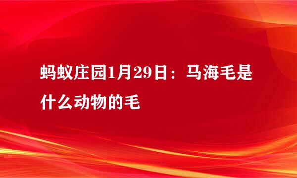 蚂蚁庄园1月29日：马海毛是什么动物的毛