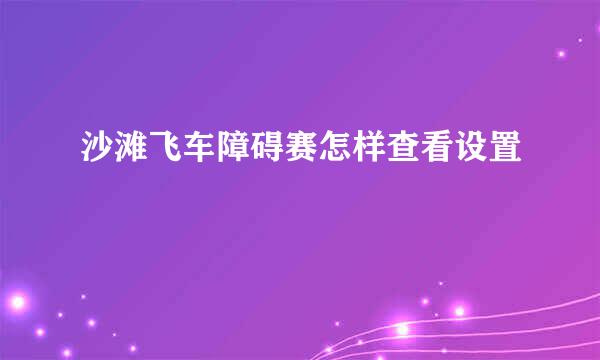 沙滩飞车障碍赛怎样查看设置