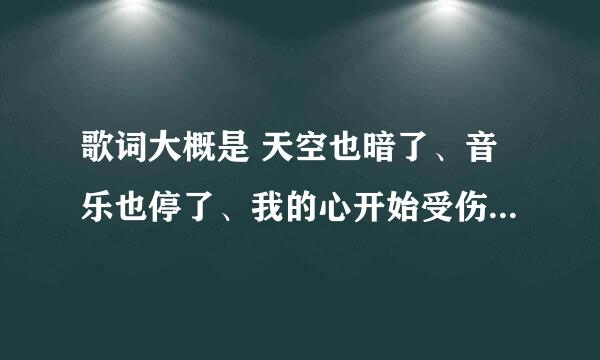 歌词大概是 天空也暗了、音乐也停了、我的心开始受伤了 是什么