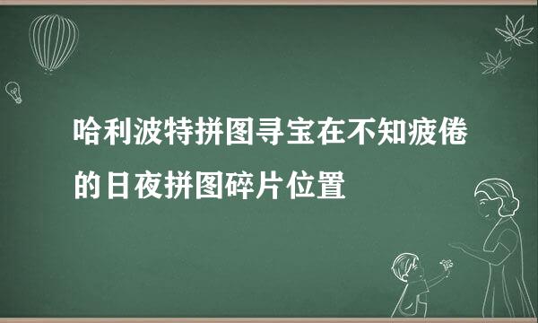 哈利波特拼图寻宝在不知疲倦的日夜拼图碎片位置