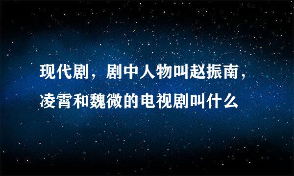 现代剧，剧中人物叫赵振南，凌霄和魏微的电视剧叫什么