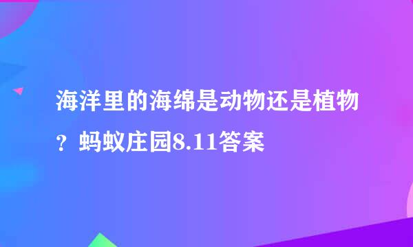 海洋里的海绵是动物还是植物？蚂蚁庄园8.11答案