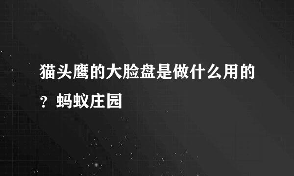 猫头鹰的大脸盘是做什么用的？蚂蚁庄园