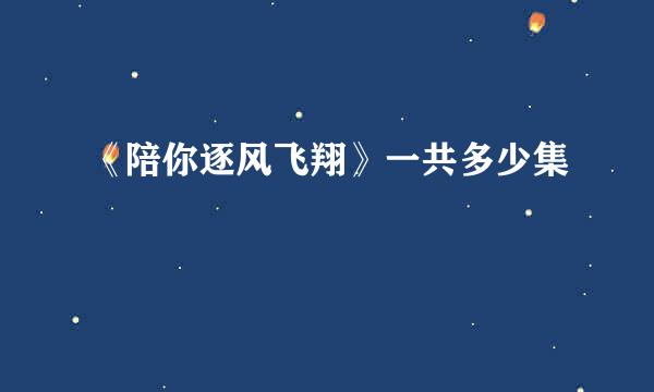 《陪你逐风飞翔》一共多少集