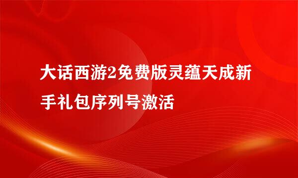 大话西游2免费版灵蕴天成新手礼包序列号激活