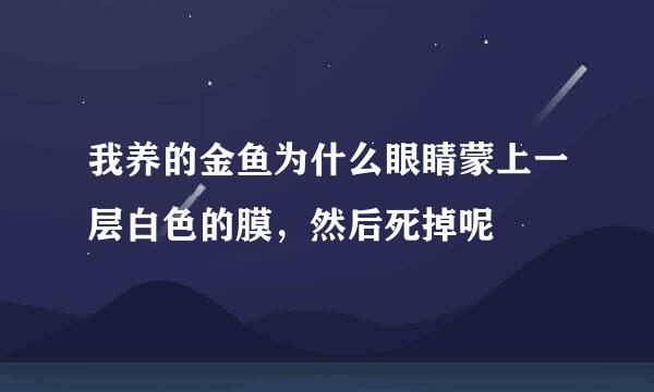 我养的金鱼为什么眼睛蒙上一层白色的膜，然后死掉呢