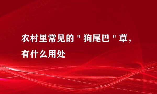 农村里常见的＂狗尾巴＂草，有什么用处