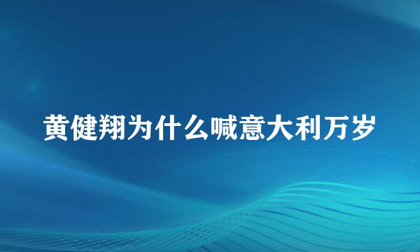 黄健翔为什么喊意大利万岁