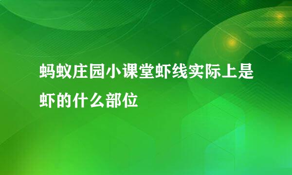 蚂蚁庄园小课堂虾线实际上是虾的什么部位