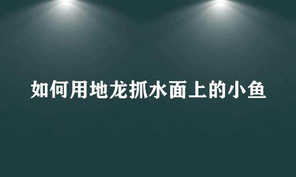 如何用地龙抓水面上的小鱼