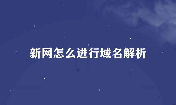 新网怎么进行域名解析