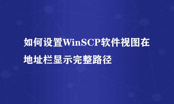 如何设置WinSCP软件视图在地址栏显示完整路径