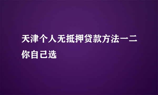 天津个人无抵押贷款方法一二你自己选