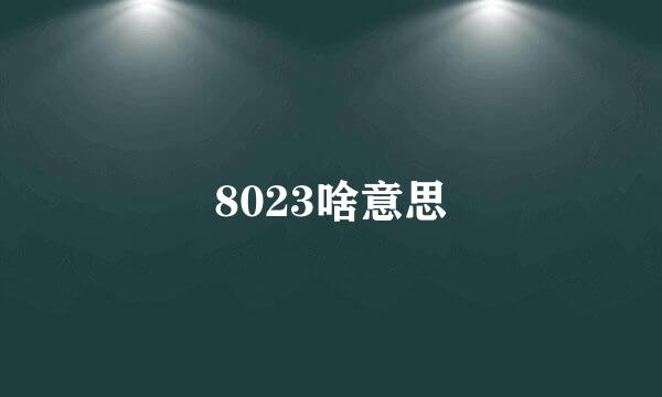 8023啥意思