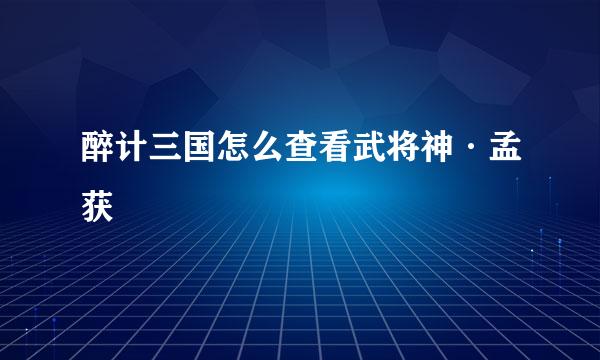 醉计三国怎么查看武将神·孟获