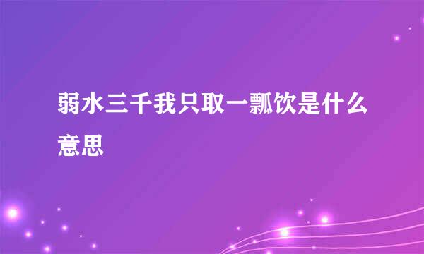 弱水三千我只取一瓢饮是什么意思