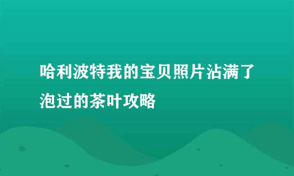 哈利波特我的宝贝照片沾满了泡过的茶叶攻略