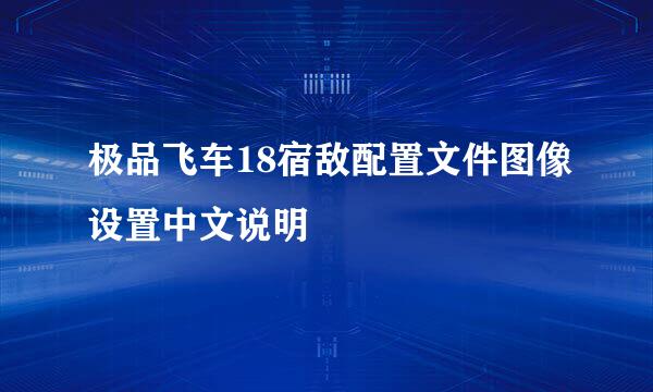 极品飞车18宿敌配置文件图像设置中文说明