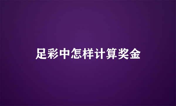 足彩中怎样计算奖金