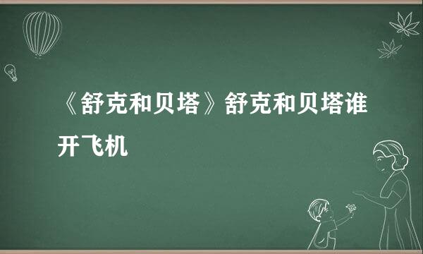 《舒克和贝塔》舒克和贝塔谁开飞机