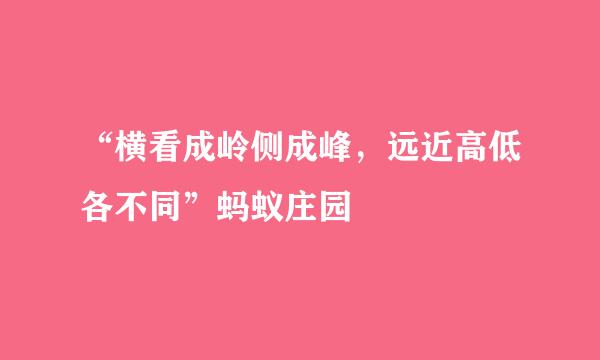 “横看成岭侧成峰，远近高低各不同”蚂蚁庄园