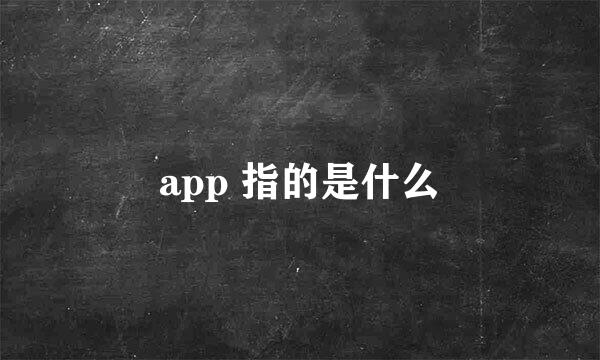 app 指的是什么