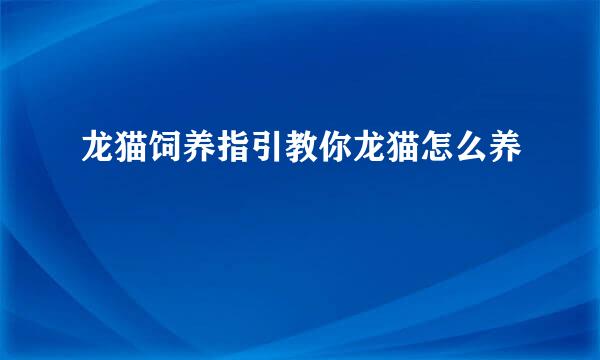 龙猫饲养指引教你龙猫怎么养