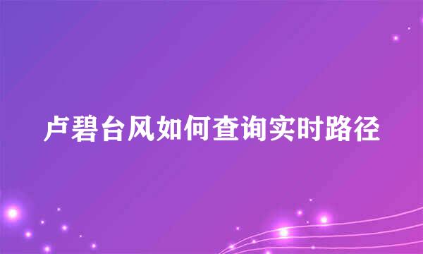 卢碧台风如何查询实时路径