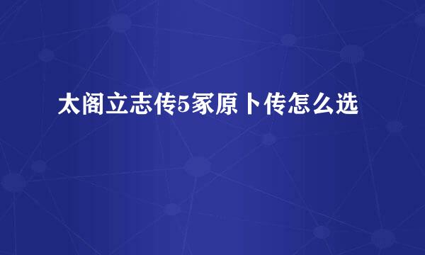 太阁立志传5冢原卜传怎么选