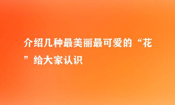 介绍几种最美丽最可爱的“花”给大家认识