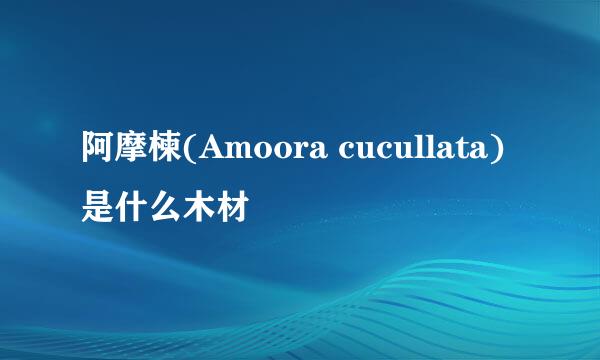 阿摩楝(Amoora cucullata)是什么木材