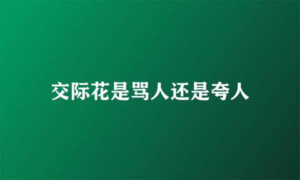 交际花是骂人还是夸人