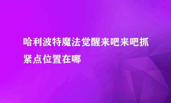 哈利波特魔法觉醒来吧来吧抓紧点位置在哪