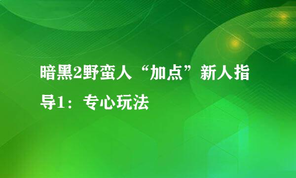 暗黑2野蛮人“加点”新人指导1：专心玩法