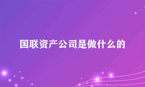 国联资产公司是做什么的