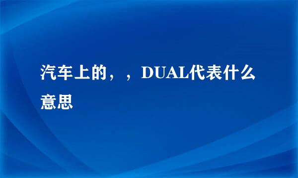 汽车上的，，DUAL代表什么意思