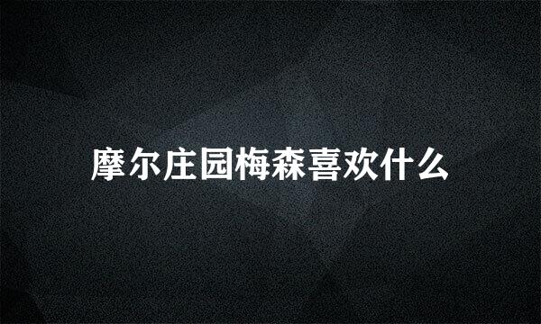 摩尔庄园梅森喜欢什么