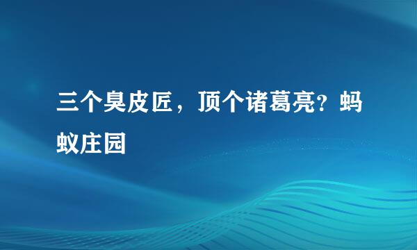 三个臭皮匠，顶个诸葛亮？蚂蚁庄园