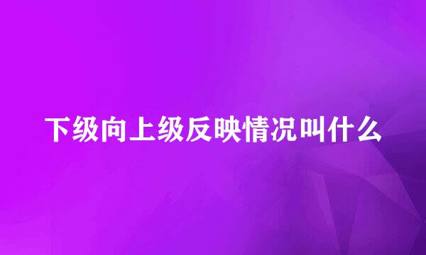 下级向上级反映情况叫什么