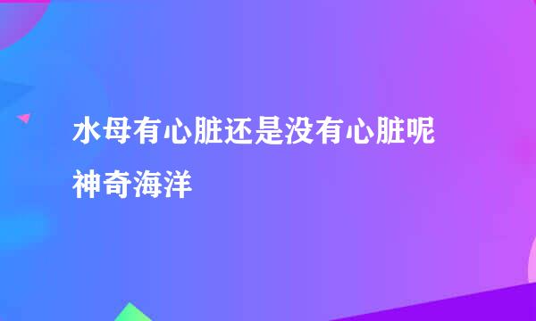 水母有心脏还是没有心脏呢 神奇海洋